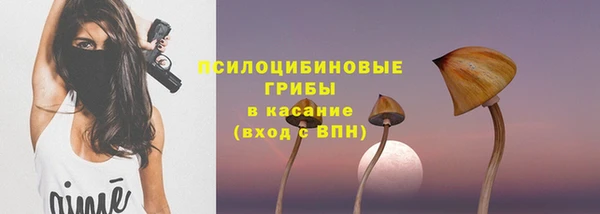 твердый Медвежьегорск