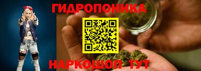 a pvp Заводоуковск